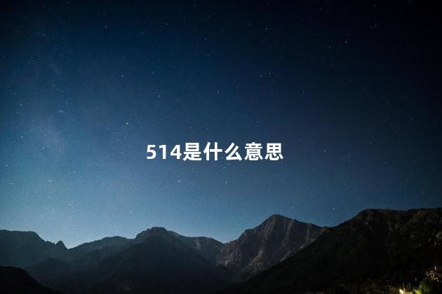 514是什么意思
