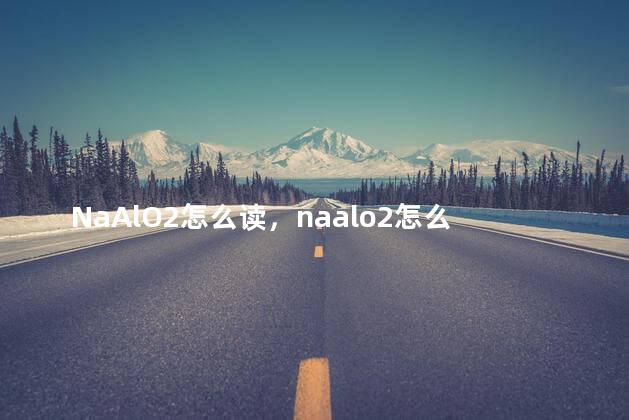 NaAlO2怎么读，naalo2怎么读可溶吗