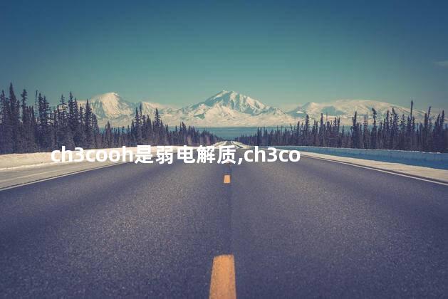 ch3cooh是弱电解质,ch3coona是电解质吗 ch3cooh是弱电解质,ch3coona是电解质吗
