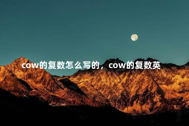 cow的复数怎么写的，cow的复数英语怎么读
