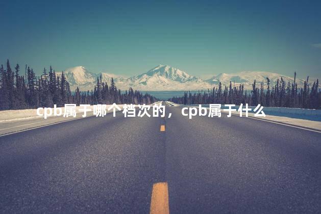 cpb属于哪个档次的，cpb属于什么档次的