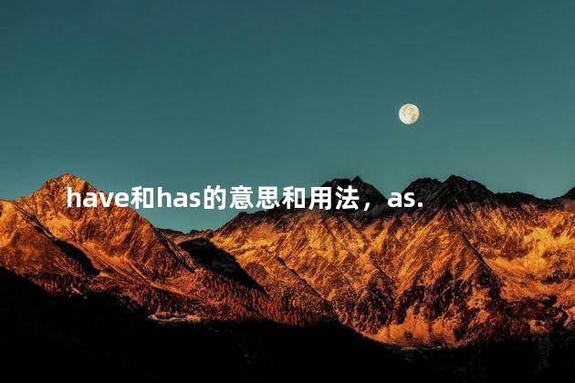have和has的意思和用法，as...as的意思