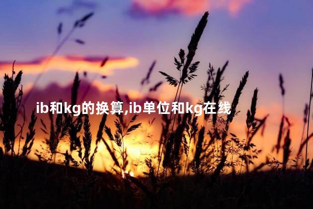 ib和kg的换算,ib单位和kg在线换算器 ib和kg的换算,ib单位和kg在线换算器