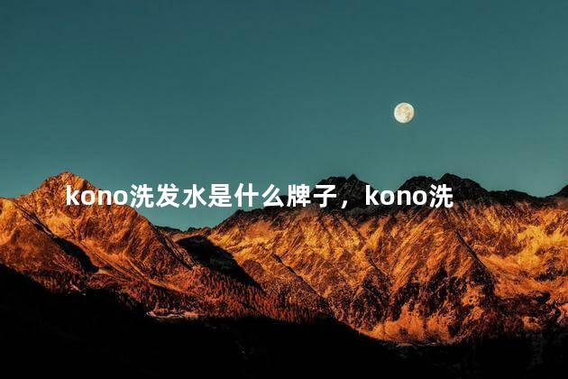 kono洗发水是什么牌子，kono洗发水有几款