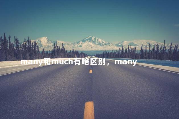 many和much有啥区别，many 和 much的区别