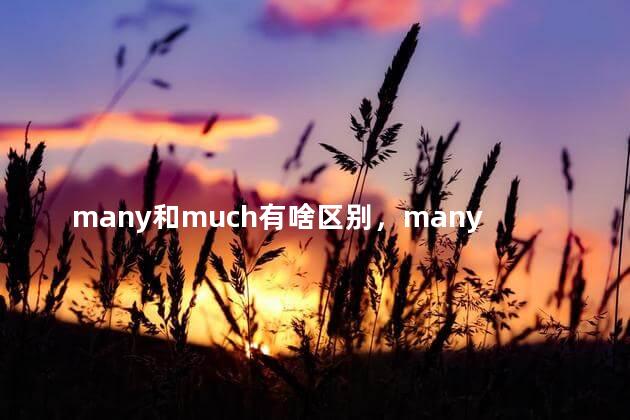 many和much有啥区别，many和much的区别例句