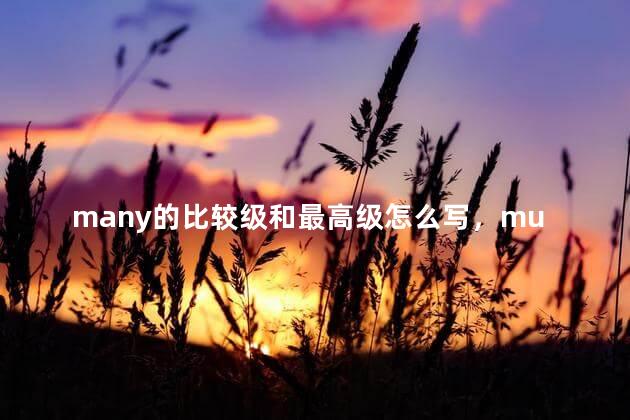 many的比较级和最高级怎么写，much的比较级和最高级
