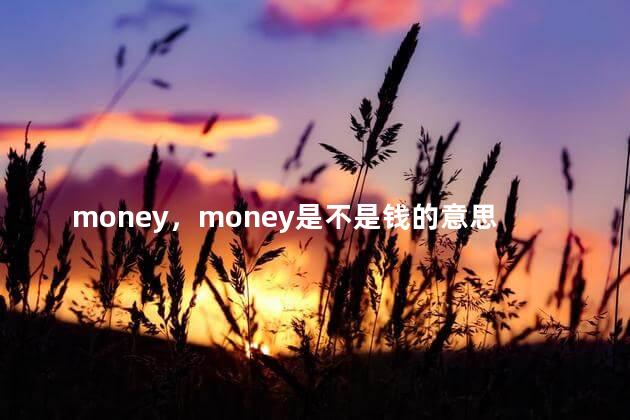 money，money是不是钱的意思