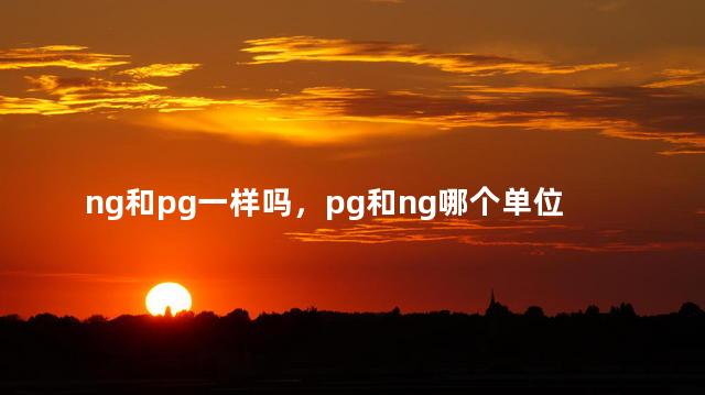 ng和pg一样吗，pg和ng哪个单位大