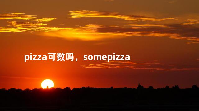 pizza可数吗，somepizza可数吗