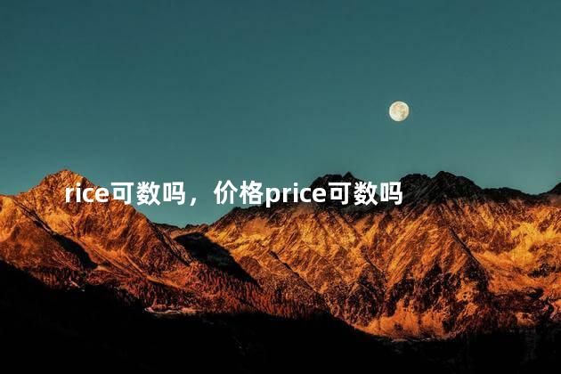rice可数吗，价格price可数吗