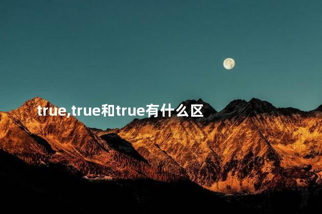 true,true和true有什么区别 true,true和true有什么区别