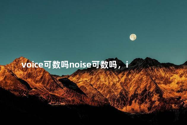 voice可数吗noise可数吗，invoice可数吗