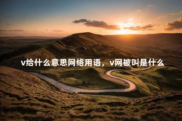 v给什么意思网络用语，v网被叫是什么意思