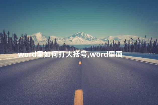 word里如何打大括号,word里面如何打大括号 word里如何打大括号,word里面如何打大括号