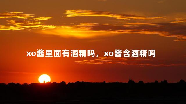 xo酱里面有酒精吗，xo酱含酒精吗