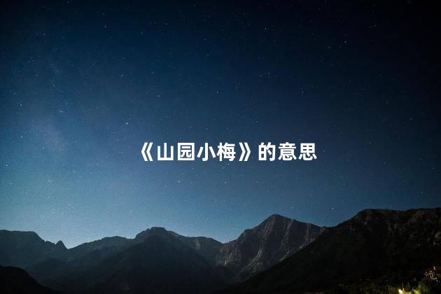 《山园小梅》的意思