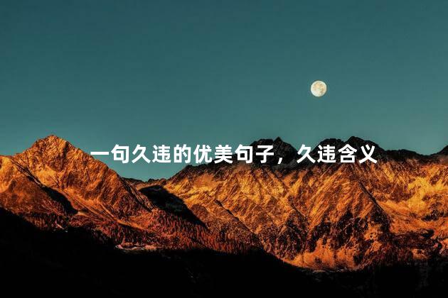 一句久违的优美句子，久违含义