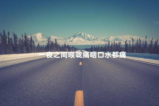 一夜之间喉咙痛咽口水都痛