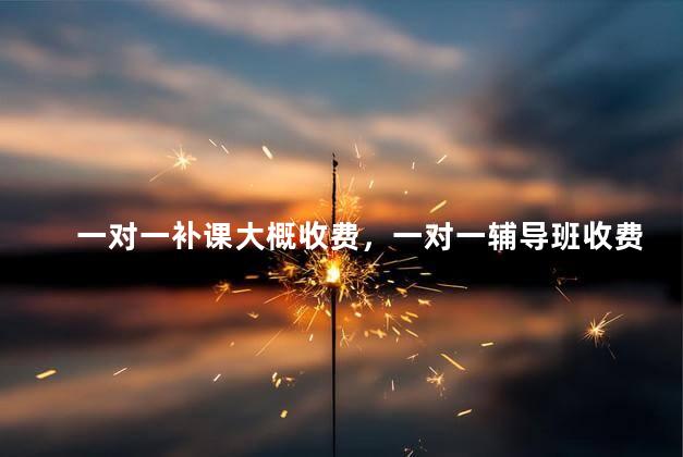 一对一补课大概收费，一对一辅导班收费标准