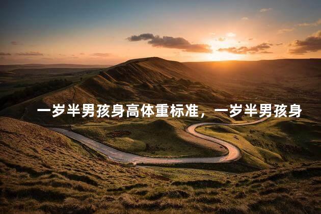 一岁半男孩身高体重标准，一岁半男孩身高体重标准是多少合适