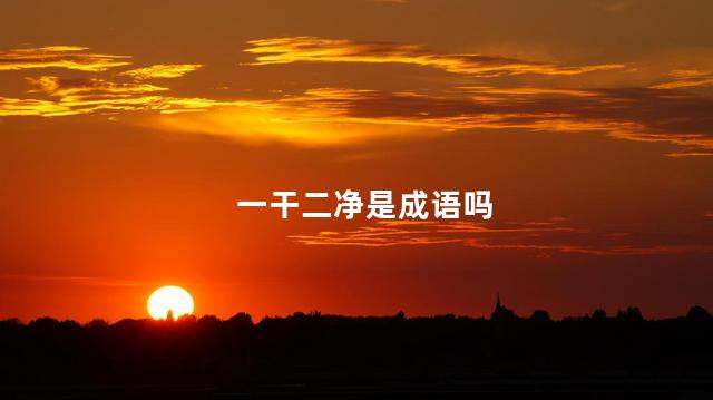 一干二净是成语吗
