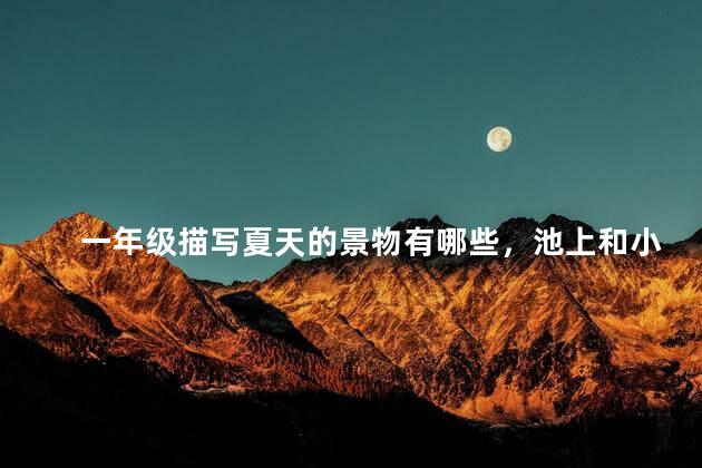 一年级描写夏天的景物有哪些，池上和小池描写夏天的景物有哪些