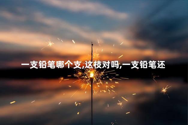 一支铅笔哪个支,这枝对吗,一支铅笔还是枝 一支铅笔哪个支,这枝对吗,一支铅笔还是枝