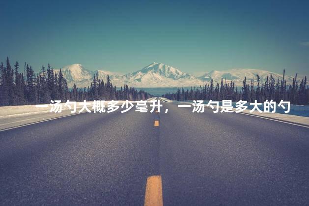 一汤勺大概多少毫升，一汤勺是多大的勺子