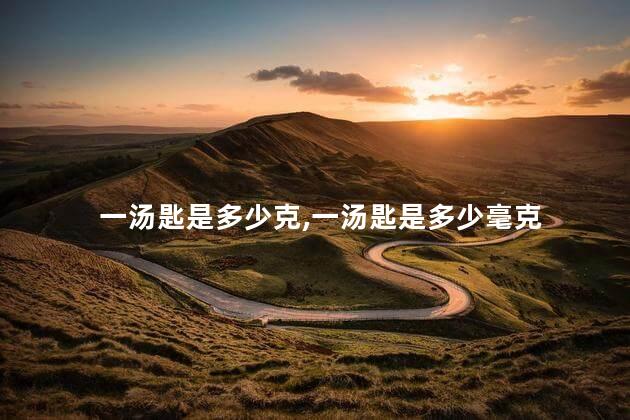 一汤匙是多少克,一汤匙是多少毫克 一汤匙是多少克,一汤匙是多少毫克