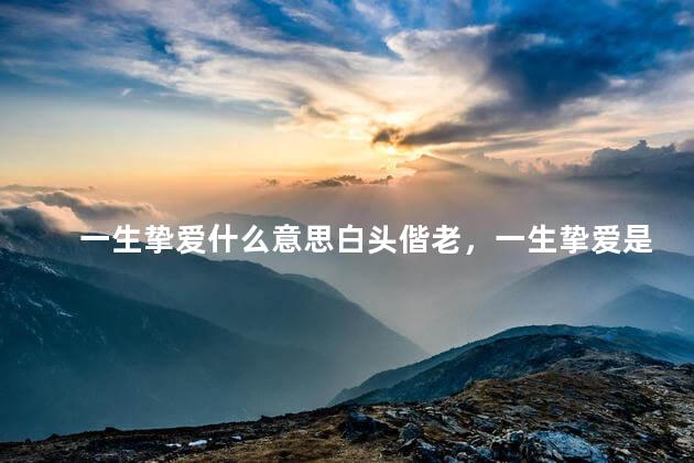 一生挚爱什么意思白头偕老，一生挚爱是啥意思