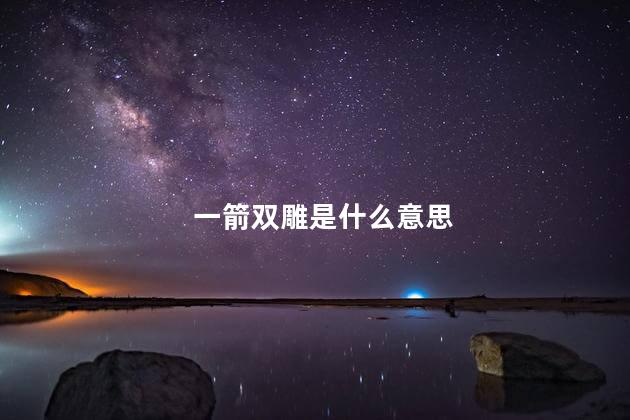 一箭双雕是什么意思
