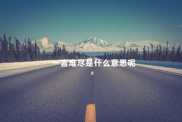 一言难尽是什么意思呢