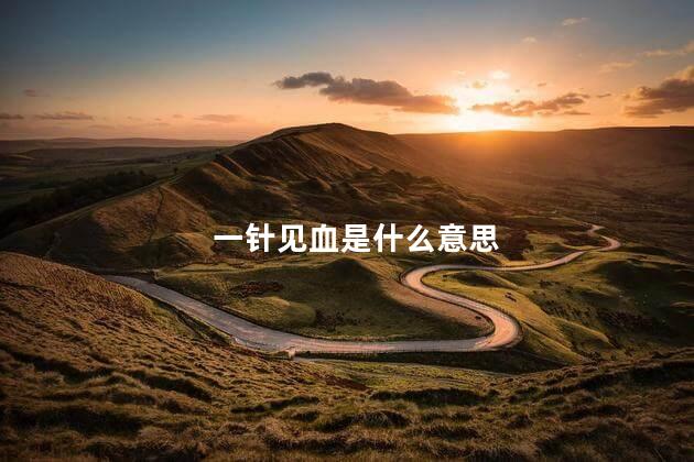 一针见血是什么意思