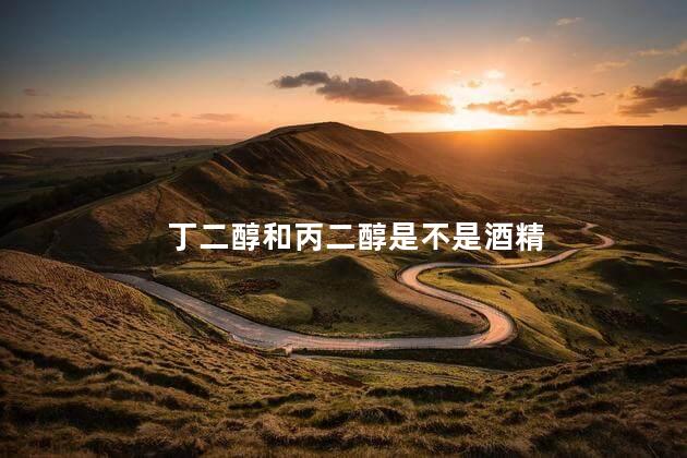 丁二醇和丙二醇是不是酒精