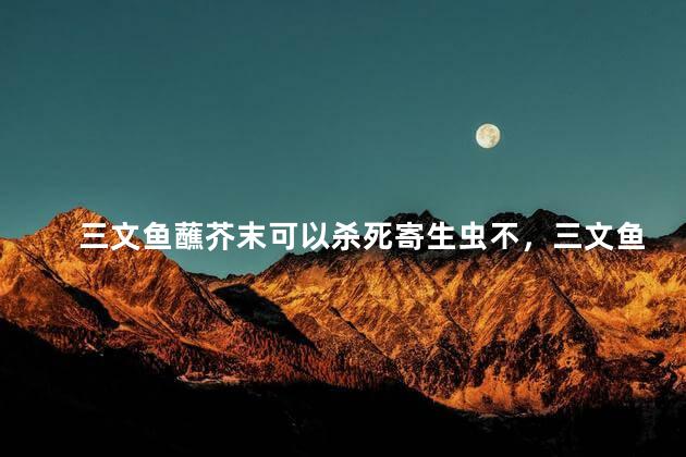 三文鱼蘸芥末可以杀死寄生虫不，三文鱼蘸芥末可以杀死寄生虫不