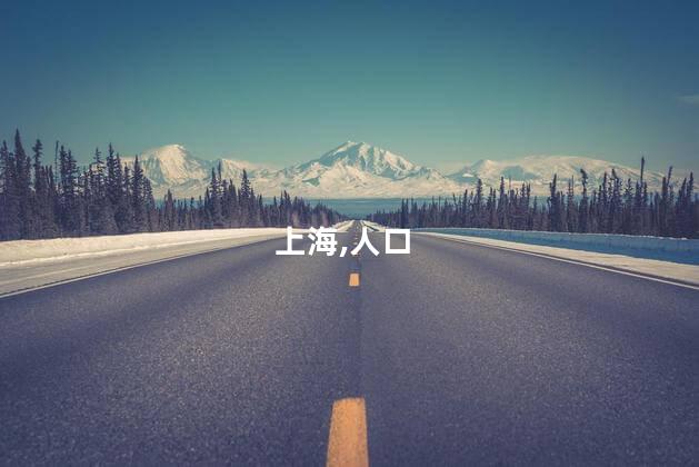 上海,人口