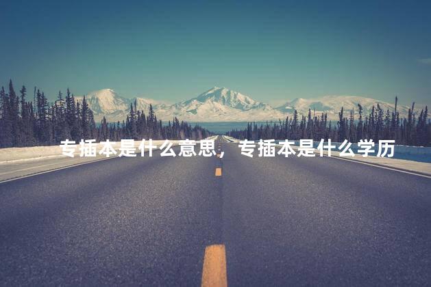 专插本是什么意思，专插本是什么学历