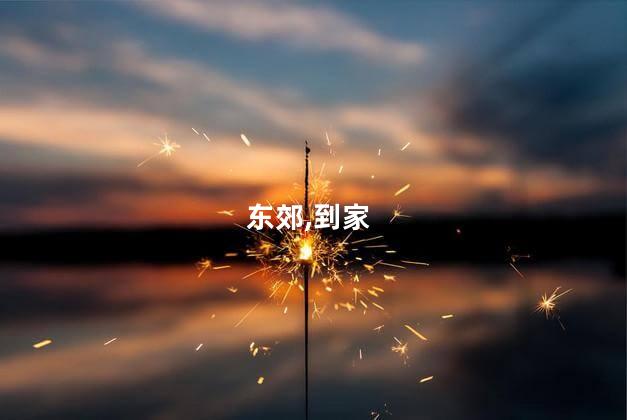 东郊,到家