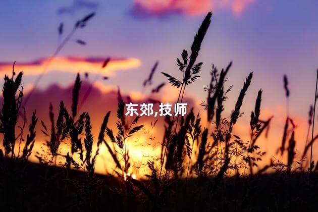 东郊,技师