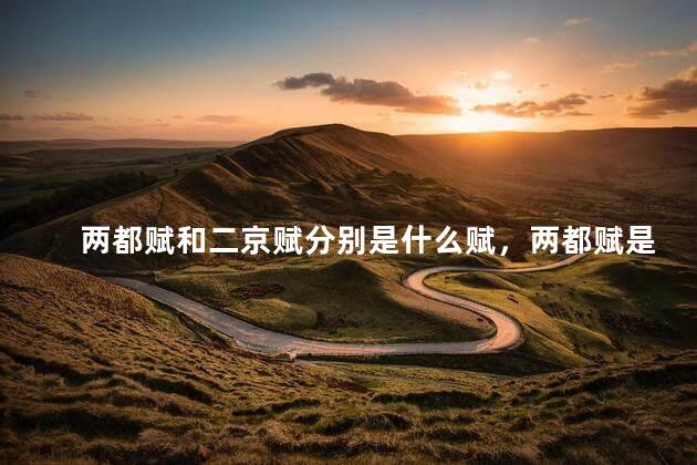 两都赋和二京赋分别是什么赋，两都赋是哪两京