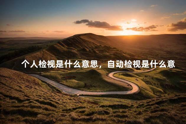 个人检视是什么意思，自动检视是什么意思