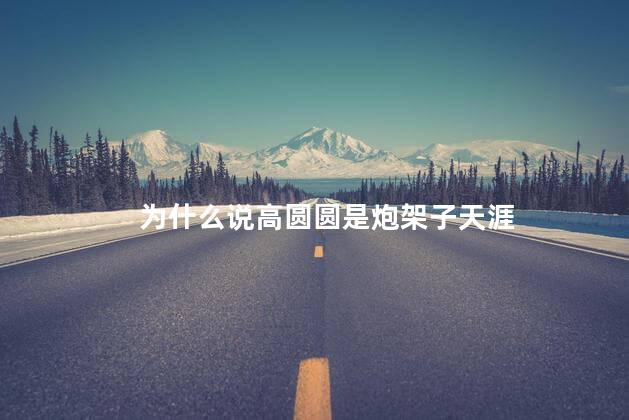 为什么说高圆圆是炮架子天涯