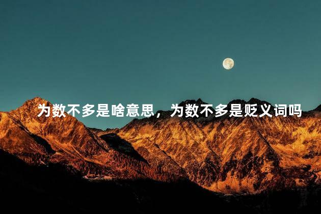 为数不多是啥意思，为数不多是贬义词吗