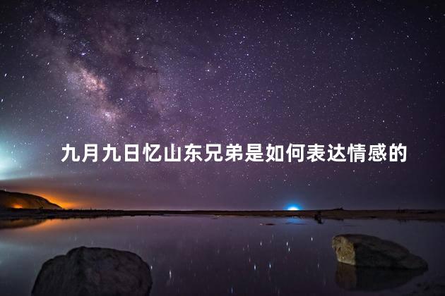 九月九日忆山东兄弟是如何表达情感的