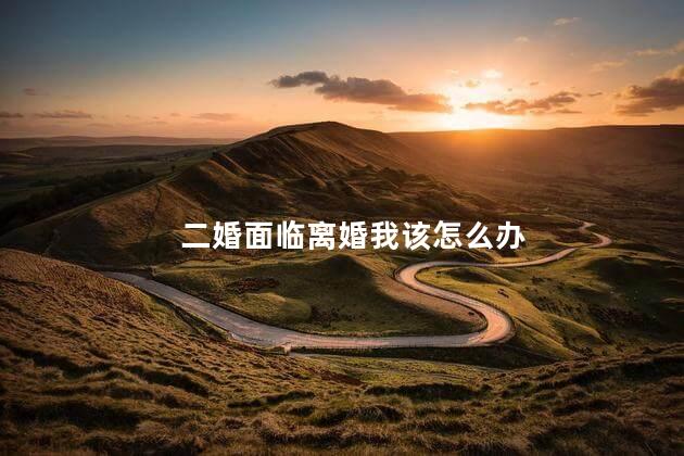 二婚面临离婚我该怎么办