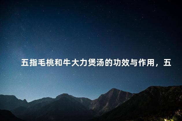五指毛桃和牛大力煲汤的功效与作用，五指毛桃和牛大力煲汤有什么功效