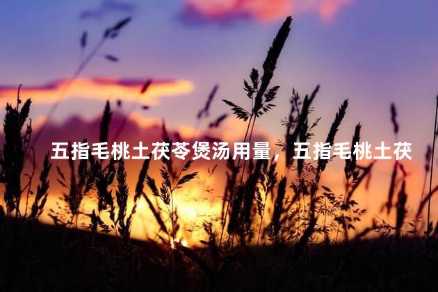 五指毛桃土茯苓煲汤用量，五指毛桃土茯苓煲水喝