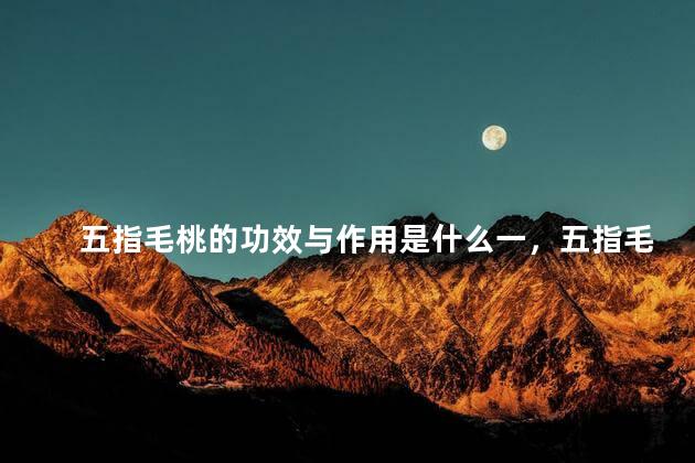 五指毛桃的功效与作用是什么一，五指毛桃的功效和作用是什么