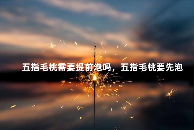 五指毛桃需要提前泡吗，五指毛桃要先泡吗